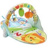 Fisher-Price 2-in-1 Activity Gym Speelbogen/ dekens 