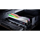 G.Skill Trident Z5 RGB 32 GB DDR5-6000 (2x 16 GB) werkgeheugen Zilver, F5-6000J3636F16GX2-TZ5RS, XMP 3.0