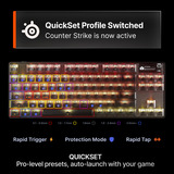SteelSeries Apex Pro TKL Gen 3 (Steel) RGB mechanisch gaming toetsenbord Grijs, US lay-out (QWERTY), SteelSeries OmniPoint 3.0, 80% (TKL)