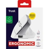 Trust Bayo II Ergonomische draadloze muis Wit, 800 dpi - 2.400 dpi