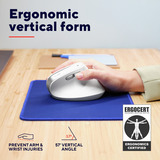 Trust Bayo II Ergonomische draadloze muis Wit, 800 dpi - 2.400 dpi