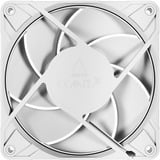 ARCTIC P12 Pro PST case fan Wit