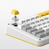 Iqunix ZX75 Gravity Wave Wireless Mechanical Keyboard Grijs, US lay-out (QWERTY), Cherry MX Blue, 75%, RGB leds, 75%, Hot-swappable, Double-shot PBT, 2.4GHz | Bluetooth 5.1 | USB-C