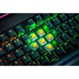 Razer BlackWidow V4 Pro RGB mechanisch gaming toetsenbord Zwart, US lay-out (QWERTY), Razer Yellow, 100%