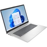 HP 17-cp0001nd (A12MTEA) 17.3" laptop Zilver | Ryzen 5 5500U | Radeon Graphics | 16 GB | 512 GB SSD