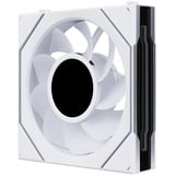 Lian Li UNI FAN SL-INF LCD FLEX RGB case fan Wit, 120 x 124 x 28 mm, PWM