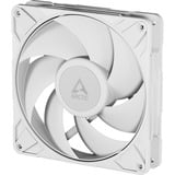 ARCTIC P14 Pro PST RGB case fan Wit, 140 x 140 x 27 mm, PWM