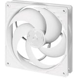 Arctic P14 PWM PST case fan Wit