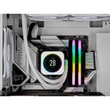 Corsair Vengeance RGB 32 GB DDR5-6400 (2x 16 GB) werkgeheugen Wit, CMH32GX5M2B6400C36W, XMP 3.0