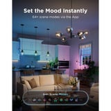 Govee Edison bulb E27 led-lamp 2 stuks, 2.4GHz wifi, Bluetooth