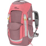 Jack Wolfskin Jack KIDS EXPLORER 20 gy rugzak Meerkleurig