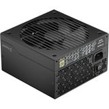 Fractal Design ION Gold 3 750W Black voeding  Zwart, 3x PCIe, 1x 12V-2x6, Kabelmanagement
