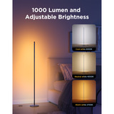 Govee Floor Lamp lite verlichting Zwart