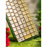 Iqunix F97 Floral Date RGB mechanisch gaming toetsenbord Groen, US lay-out (QWERTY), IQUNIX Little Prince, 96%, RGB leds, 96%, Hot-swappable, PBT, 2.4GHz | Bluetooth 5.1 | USB-C