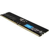 Crucial 16 GB DDR5-4800 (1x 16 GB) werkgeheugen Zwart, CT16G48C40U5