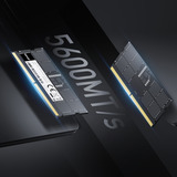 Lexar 32 GB DDR5-5600 (1x 32 GB) laptopgeheugen Zwart, LD5S32G56C46ST-BGS, SO-DIMM