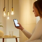WiZ Filament doorzichtig A60 E27 led-lamp Wifi + Bluetooth protocol