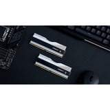 G.Skill Trident Z5 RGB 32 GB DDR5-6000 (2x 16 GB) werkgeheugen Zilver, F5-6000J3040F16GX2-TZ5RS, XMP 3.0