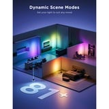 Govee Floor Lamp Pro Zwart, 2,4GHz wifi, Bluetooth