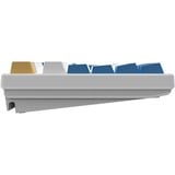 HelloGanss HS108T GC08 RGB mechanisch toetsenbord Wit, US lay-out (QWERTY), Gateron Yellow, 100%, RGB leds, PBT Doubleshot keycaps, hot swap, 2,4 GHz / Bluetooth / USB-C