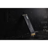 KLEVV CRAS C910G 2 TB SSD Zwart, K02TBM2SP0-10G, PCIe Gen 4.0 x4, NVMe 2.0