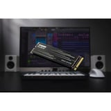 KLEVV CRAS C910G 2 TB SSD Zwart, K02TBM2SP0-10G, PCIe Gen 4.0 x4, NVMe 2.0