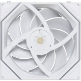 Lian Li Lian Li UNI FAN TL FLEX 120 WL wh RGB case fan Wit, 120 x 124 x 28 mm, PWM