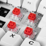 Sharkoon Switch Set Kailh BOX Red keyboard switches Rood/transparant, 35 stuks