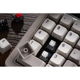 8BitDo IBM Bundel, gaming toetsenbord Grijs/donkerrood, US lay-out, Kailh Box White, TKL, Bluetooth Low Energy, Wireless 2.4G, USB