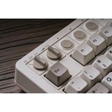 8BitDo IBM Bundel mechanisch gaming toetsenbord Grijs, US lay-out (QWERTY), Kailh Box White, 80% (TKL)	, Bluetooth Low Energy, Wireless 2.4G, USB