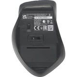 ASUS WT425 Wireless Mouse Lichtblauw, 1000 - 1600 dpi