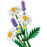 LEGO  Botanicals - Madeliefjes Constructiespeelgoed 11508