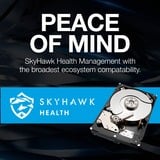 Seagate SkyHawk 2 TB harde schijf SATA 6 Gb/s