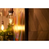 Shelly Vintage ST64 ledlamp 