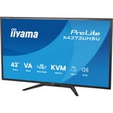 iiyama ProLite X4373UHSU-B2 42.5" 4K UHD monitor Zwart (mat), HDMI, DisplayPort, USB-C