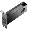 PNY NVIDIA RTX PRO 2000 Blackwell Generation 16GB PB grafische kaart 4x Mini-Display Port 2.1, Bulk