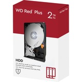 WD Red Plus, 2 TB harde schijf WD20EFZX, SATA 600, 24/7, AF