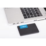 Crucial BX500, 500 GB SSD Zwart, CT500BX500SSD1, SATA/600