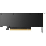 PNY NVIDIA RTX 4000 SFF Ada Generation grafische kaart 4x Mini DisplayPort, Retail