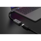 Sitecom USB-C naar DisplayPort 1.4 Adapter Grijs