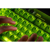 8BitDo Xbox Bundel, desktopset Groen, US lay-out, Kailh Box Jellyfish X, TKL, ABS keycaps, 50 - 26000 DPI, Bluetooth / USB-C / 2.4 GHz