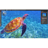 Corel Corel Painter Essentials (v. 8) software 1 licentie - 1 gebruiker