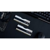 G.Skill 32 GB DDR5-6600 Kit werkgeheugen Zilver, F5-6600J3440G16GX2-TZ5RS, Trident Z5 RGB, XMP