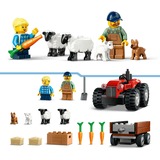 LEGO  Constructiespeelgoed 