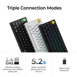 Lemokey P2 HE-M1 Wireless Magnetic Switch Custom Gaming Keyboard Zwart, US lay-out, Gateron Double-Rail Magnetic Nebula, 65%, RGB leds, double-shot PBT, hot swap, Knob, 2.4GHz | Bluetooth 5.2 | USB-C