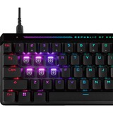 ASUS ROG Falchion ACE HFX RGB gaming toetsenbord Zwart, US lay-out (QWERTY), ROG HFX, 65%, RGB leds, PBT Double-shot