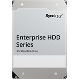 Synology HAT5320-24T 24 TB harde schijf SATA/600