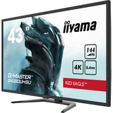 iiyama G-Master Red Eagle G4380UHSU-B1 43" 4K Ultra HD Gaming Monitor Zwart, 4K, HDMI, DisplayPort, USB, Audio, FreeSync 