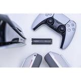 Crucial P310 Heatsink 2 TB SSD CT2000P310SSD5, PCIe 4.0 x4, NVMe, M.2 2280