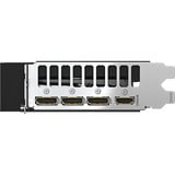 GIGABYTE AORUS GeForce RTX 5060 ELITE 8G grafische kaart 3x DisplayPort, 1x HDMI, DLSS 4